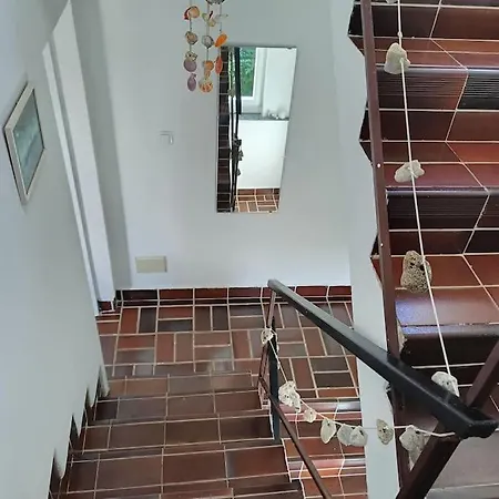Casa Soraia Nell'isola Dei Sogni Mali Lošinj
