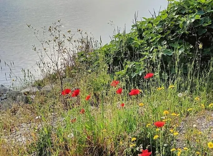 Casa Soraia Nell'isola Dei Sogni 木洛希尼