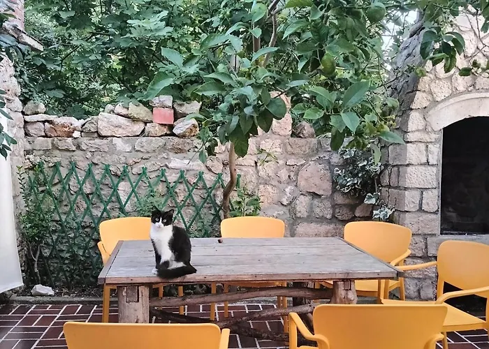 Casa Soraia Nell'isola Dei Sogni 度假居 *