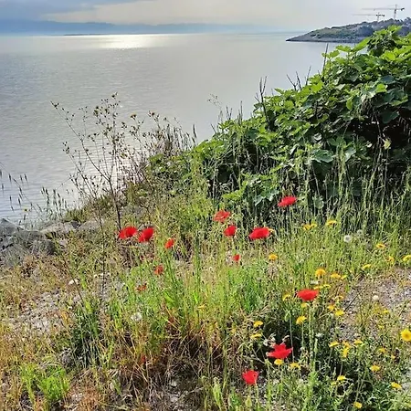 Casa Soraia Nell'isola Dei Sogni Mali Lošinj