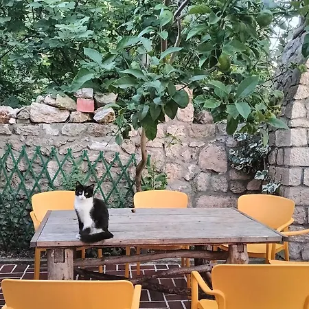 Casa Soraia Nell'isola Dei Sogni Feriehus *