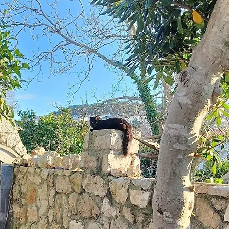 Casa Soraia Nell'isola Dei Sogni Holiday home *