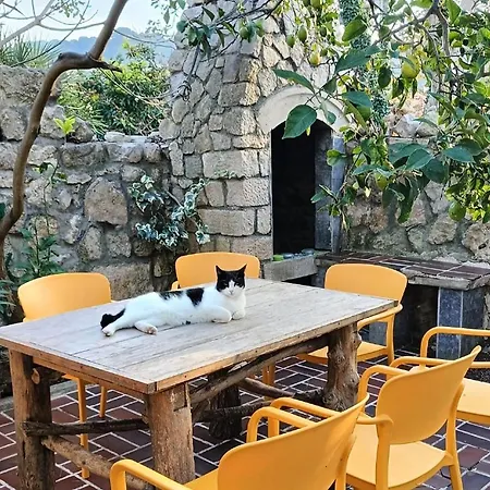 펜션 Casa Soraia Nell'isola Dei Sogni *
