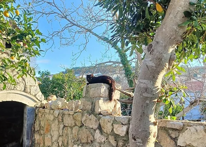 Casa Soraia Nell'isola Dei Sogni Vikendica *